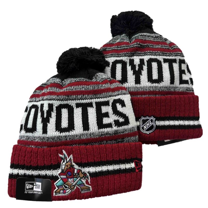 h157016_1 Arizona Coyotes Beanies Knit Hat