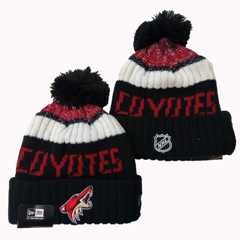 h157017_1 Arizona Coyotes Beanies Knit Hat