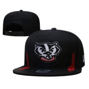 h157084_1 Wisconsin Badgers Snapback Hat