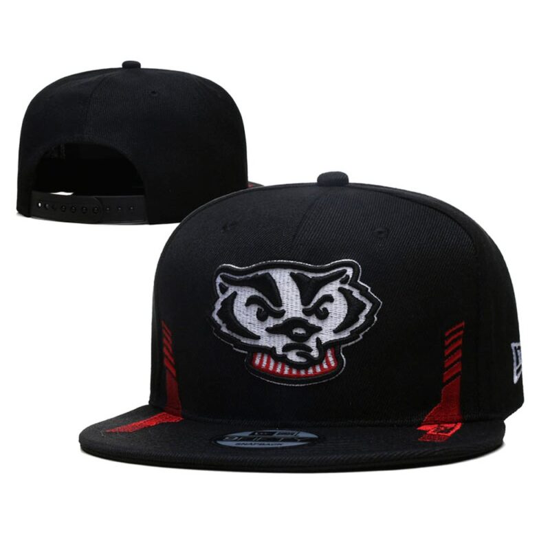 h157084_1 Wisconsin Badgers Snapback Hat