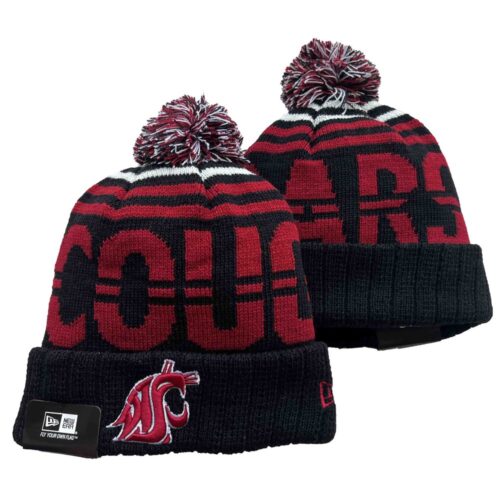 h157138_1 Washington State Cougars Beanies Knit Hat