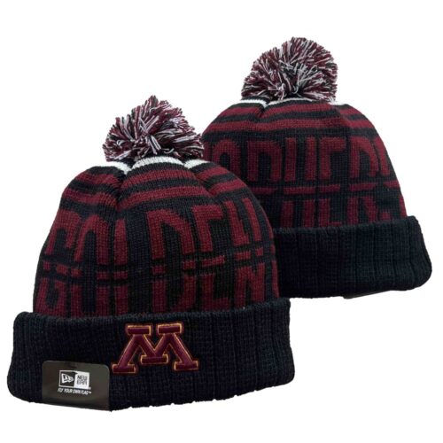 h157142_1 Minnesota Golden Gophers Beanies Knit Hat