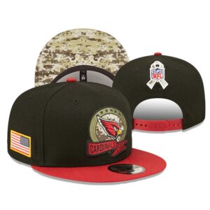 h157161_1 Arizona Cardinals Snapback Hat
