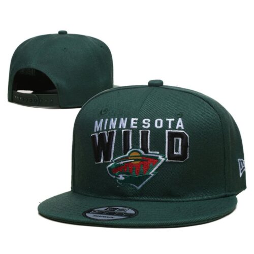 h157281_1 Minnesota Wild Snapback Hat