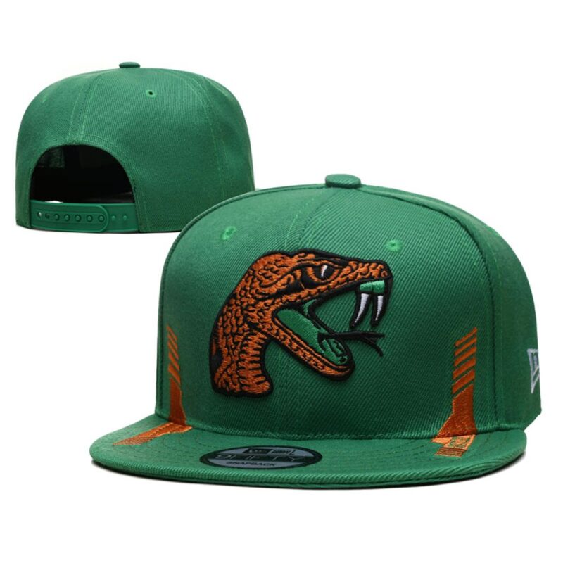 h157317_1 Florida A&M Rattlers Snapback Hat