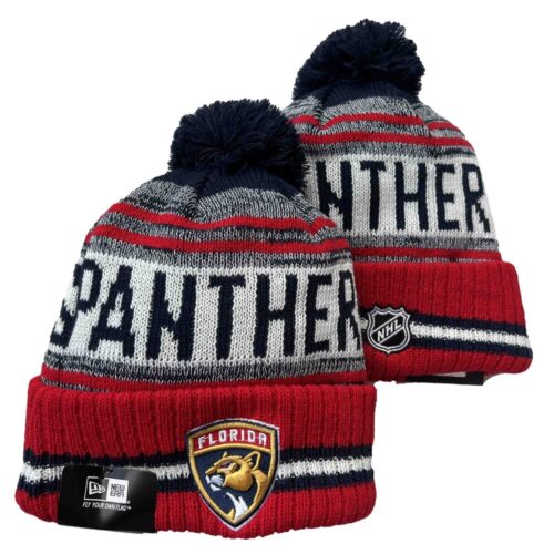 h157502_1 Florida Panthers Beanies Knit Hat