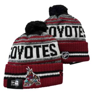 h157503_1 Arizona Coyotes Beanies Knit Hat