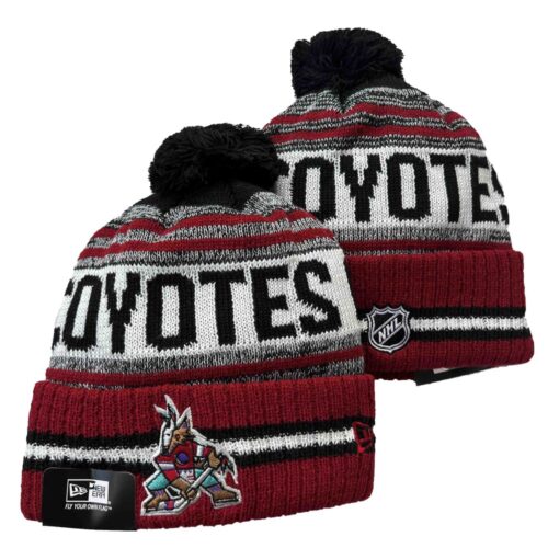 h157503_1 Arizona Coyotes Beanies Knit Hat