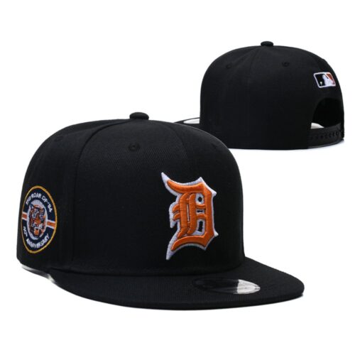 nh120250810027_1 Detroit Tigers Snapback Hat