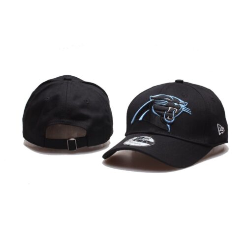 nh120250810106_1 Carolina Panthers Adjustable Hat