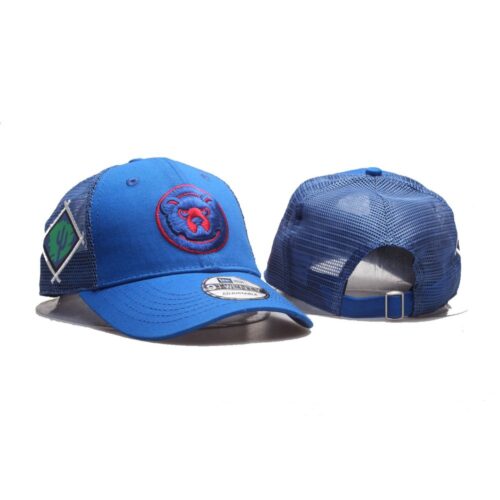 nh120250810109_1 Chicago Cubs Adjustable Hat