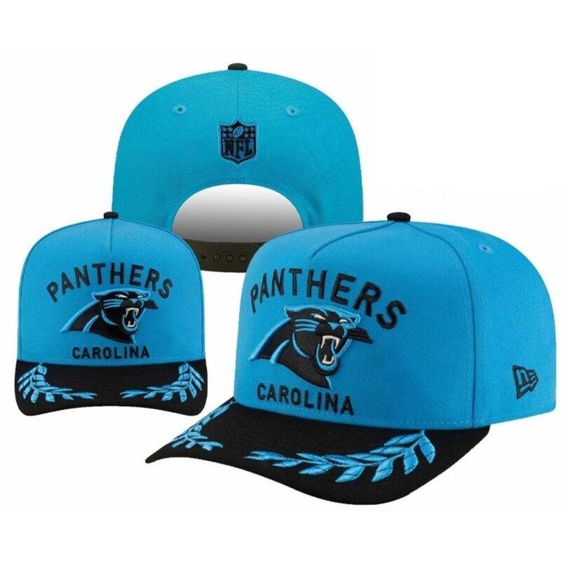 nhnf202510230317_1 Carolina Panthers Adjustable Hat